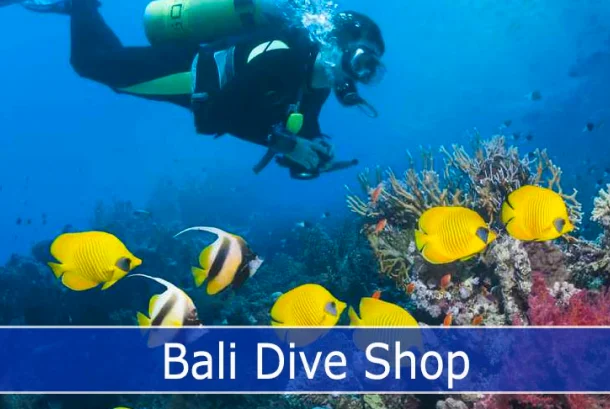Bali Dive Shops for an Unforgettable Diving Adventure